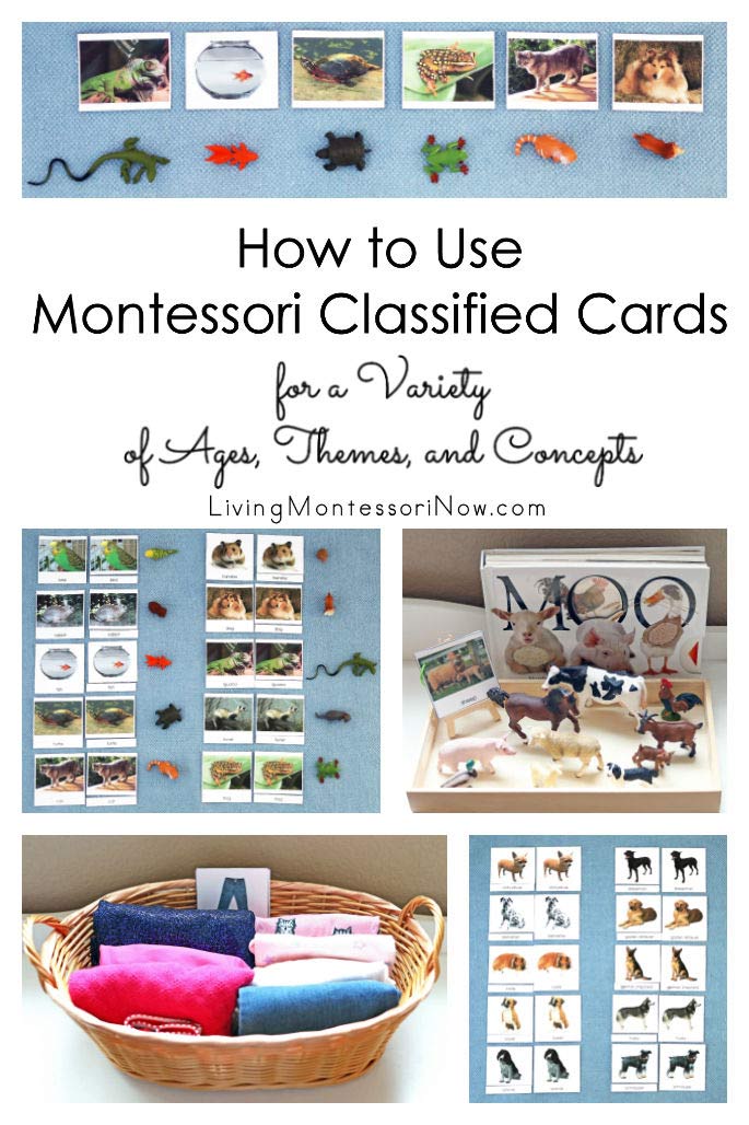 How to Use Montessori Classified Cards for a Variety of Ages, Themes, and Concepts
