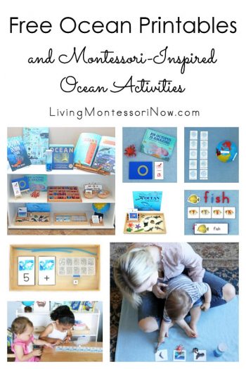 Free Ocean Printables and Montessori-Inspired Ocean Activities