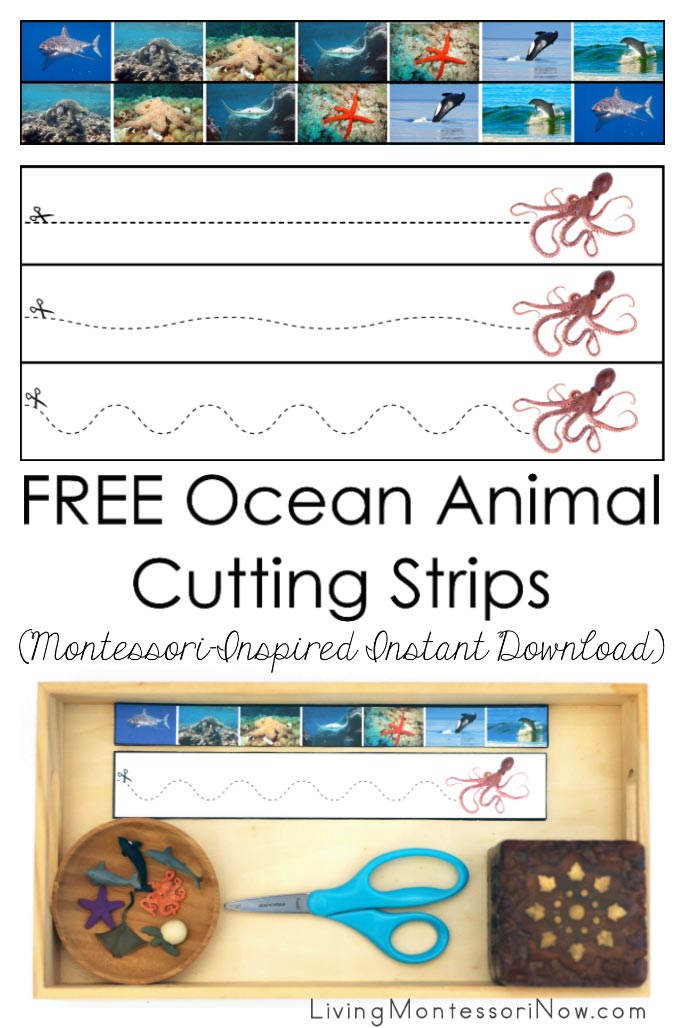 Download Free Ocean Animal Cutting Strips Montessori Inspired Instant Download Living Montessori Now