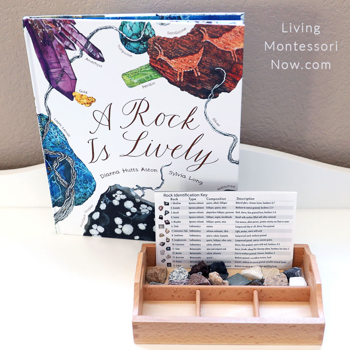 Βιβλίο A Rock Is Lively με Πυριγενή, Ιζηματογενή και Μεταμορφική Διαλογή Βράχων