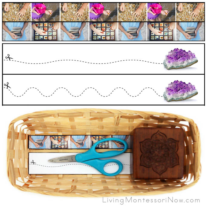Rocks and Minerals Cutting Strips with Basket