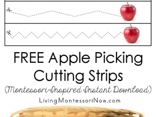 FREE Apple Picking Cutting Strips (Montessori-Inspired Instant Download)