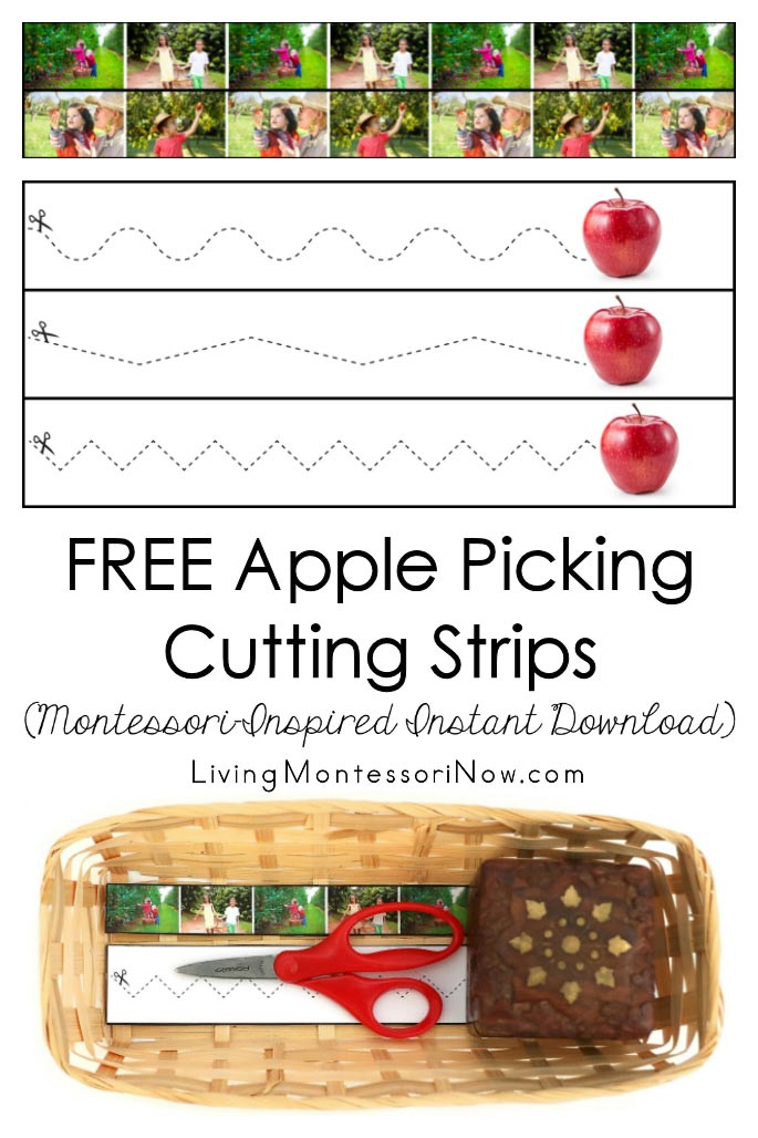 FREE Apple Picking Cutting Strips (Montessori-Inspired Instant Download)