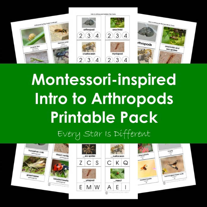 Montessori-Inspired Intro to Arthropods Printable Pack from Every Star Is Different