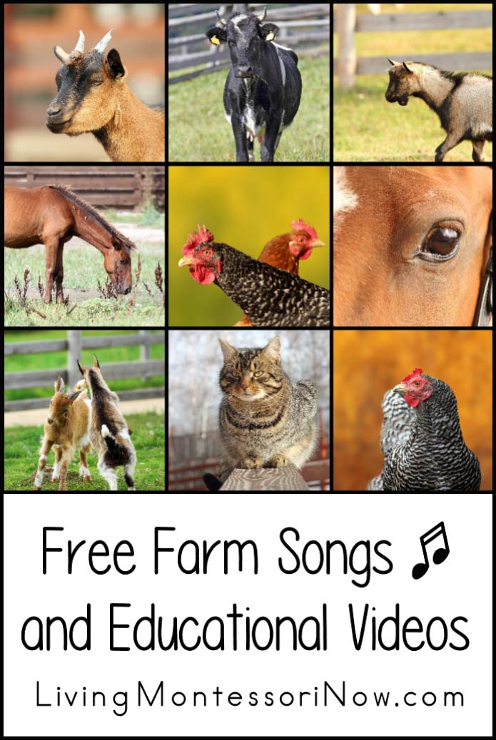 Free Farm Songs and Educational Videos - Living Montessori Now