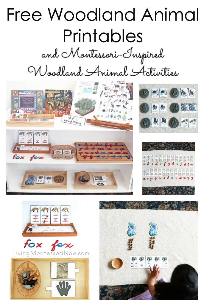 Free Woodland Animal Printables and Montessori-Inspired Woodland Animal Activities