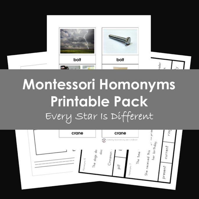 Montessori Homonyms Printable Pack from Every Star Is Different