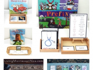 Montessori Word Study Printables for Preschool Through Elementary