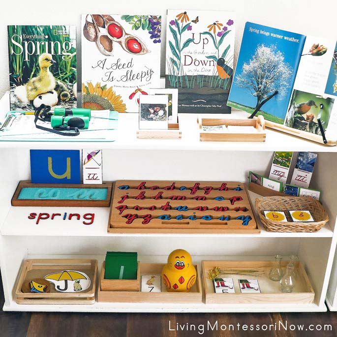 Montessori Shelves with Spring-Themed Activities
