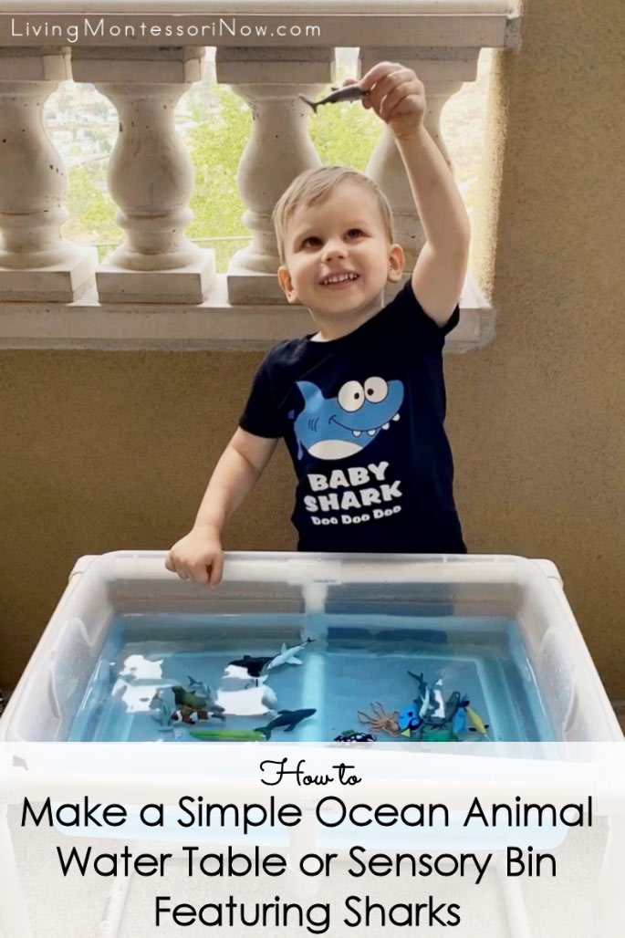 How to Make an Ocean Sensory Bin with Water Beads • One Lovely Life