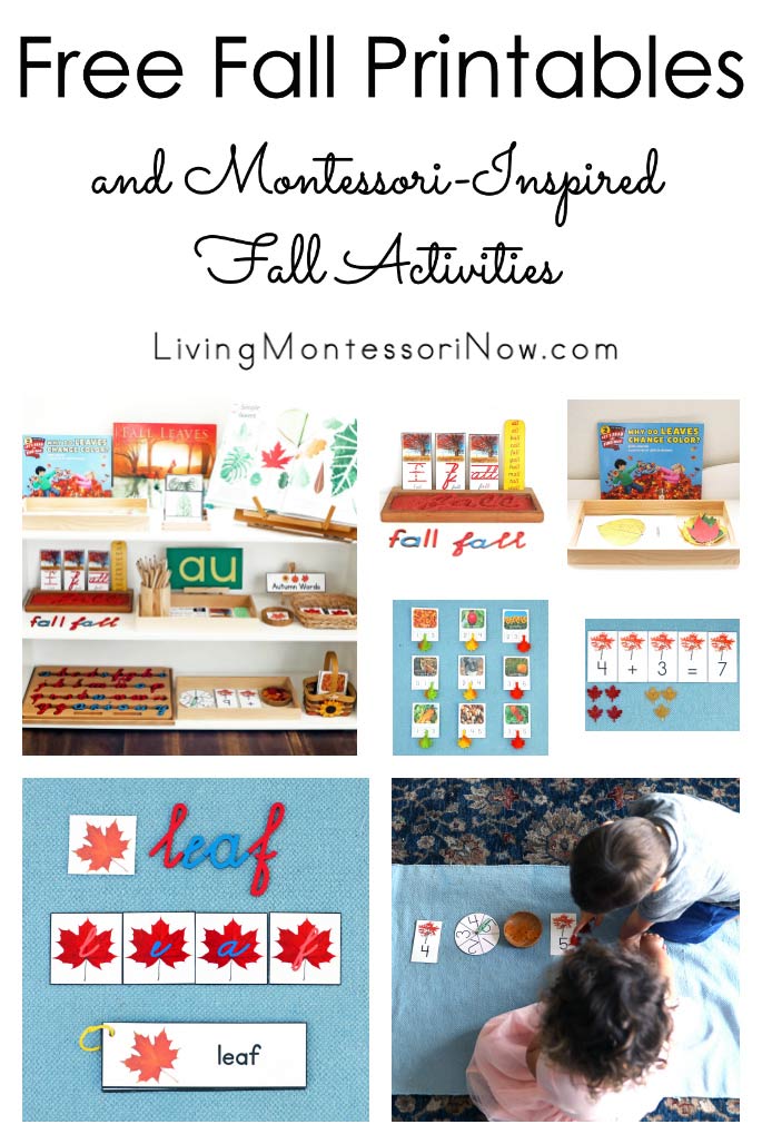 Montessori Fall Trays - Wildflower Ramblings