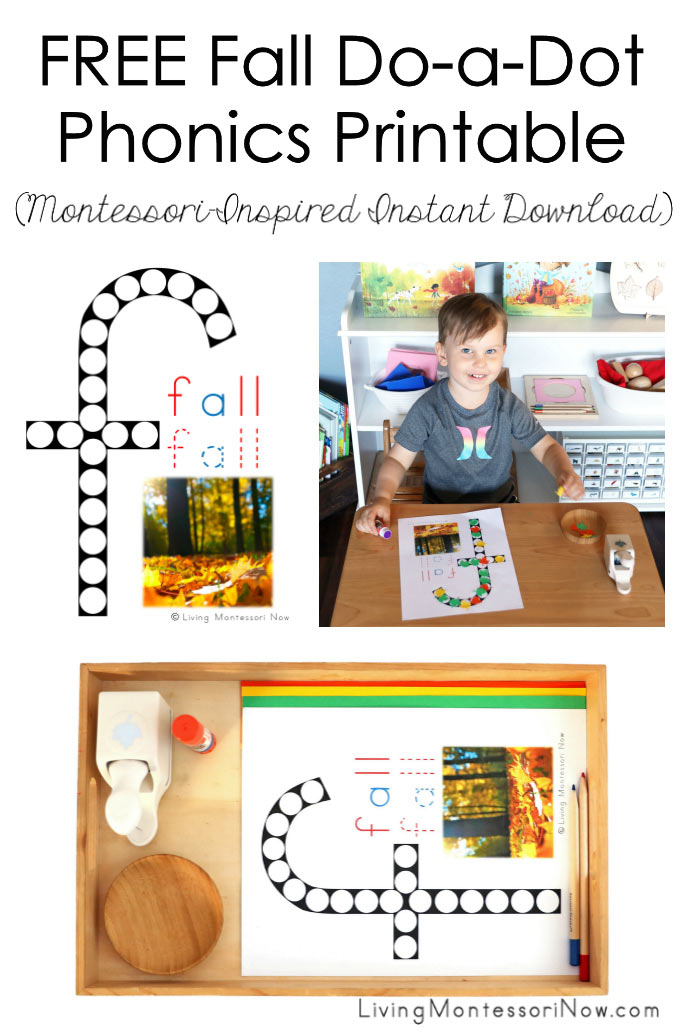 FREE Fall Do-a-Dot Phonics Printable (Montessori-Inspired Instant Download)