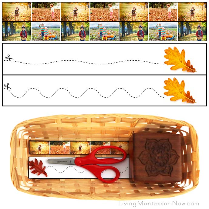 Fall Cutting Strips with Basket