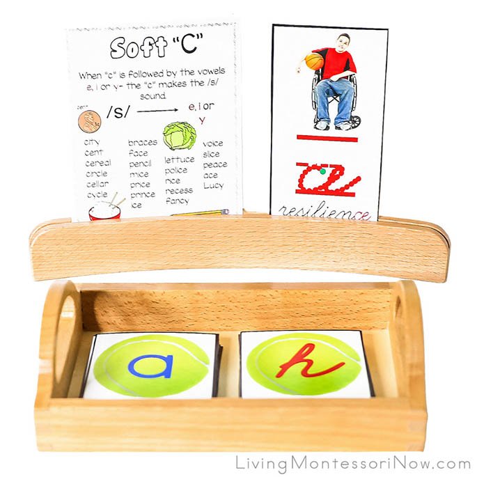 Resilience Word Analysis with Soft C Printable and ce Phonogram Card