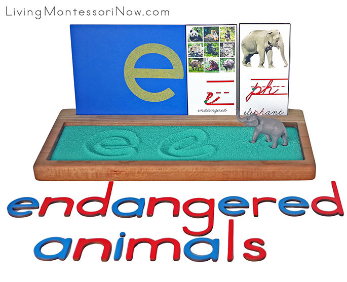 Endangered Animals Salt Writing Tray