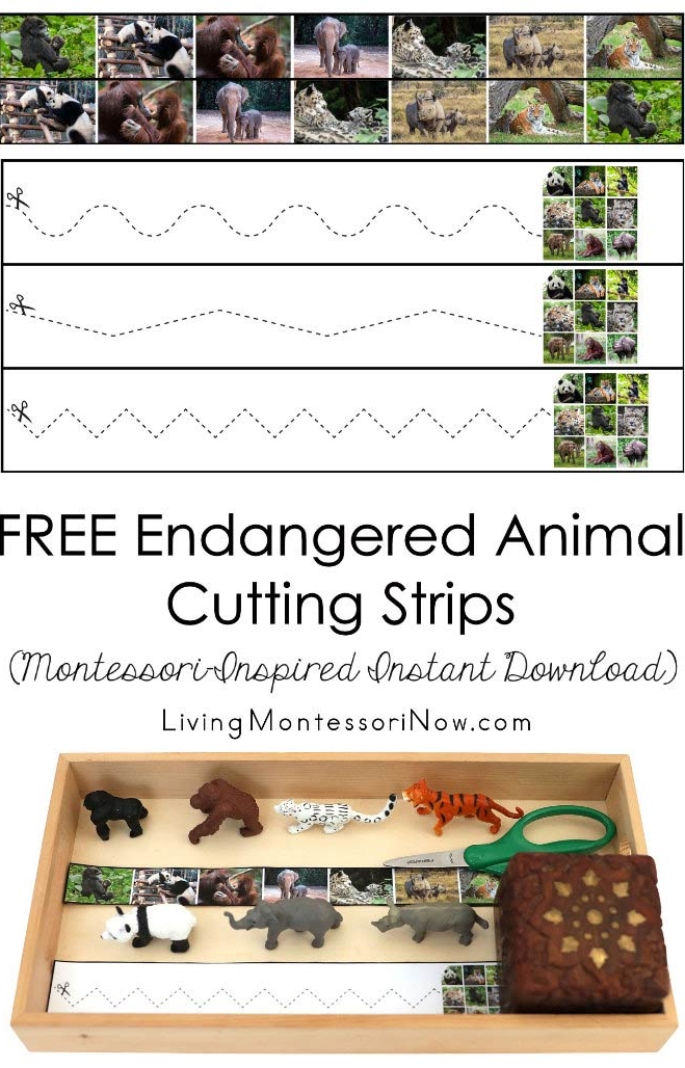 FREE Endangered Animal Cutting Strips (Montessori-Inspired Instant Download)