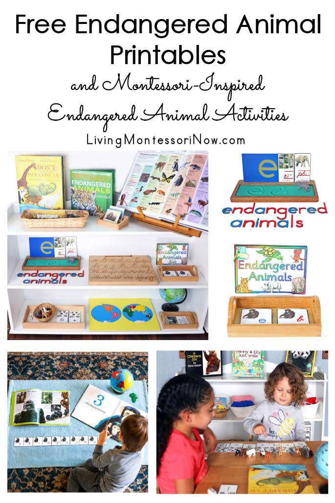 Free Endangered Animal Printables and Montessori-Inspired Endangered Animal Activities