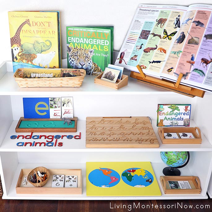 Montessori Shelves with Endangered Animal Themed Activities