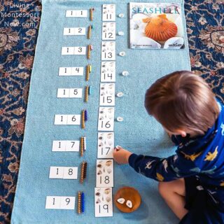 Free Seashell Printables and Montessori-Inspired Seashell Activities ...