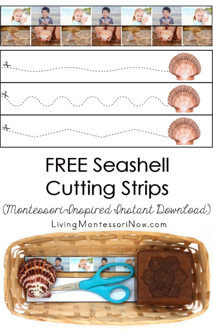 FREE Seashell Cutting Strips (Montessori-Inspired Instant Download)