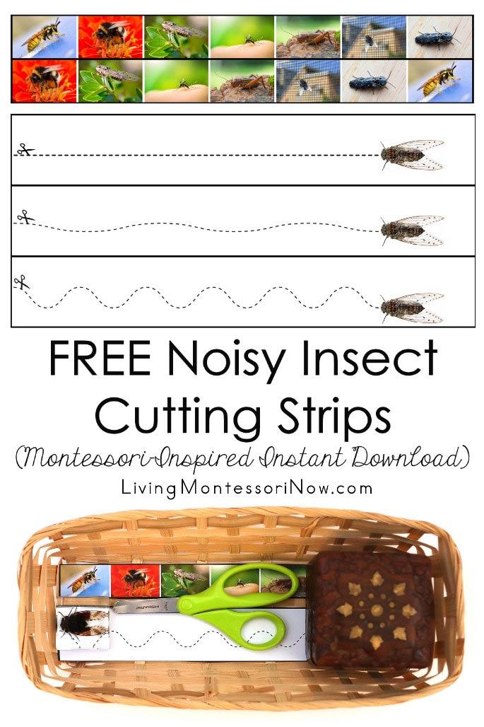 Free Noisy Insect Cutting Strips (Montessori-Inspired Instant Download)