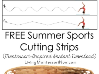 FREE Summer Sports Cutting Strips (Montessori-Inspired Instant Download)