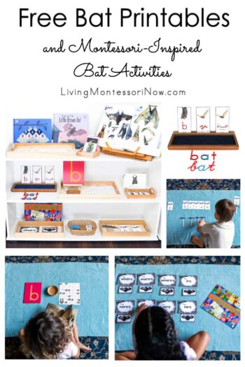 Free Bat Printables and Montessori-Inspired Bat Activities