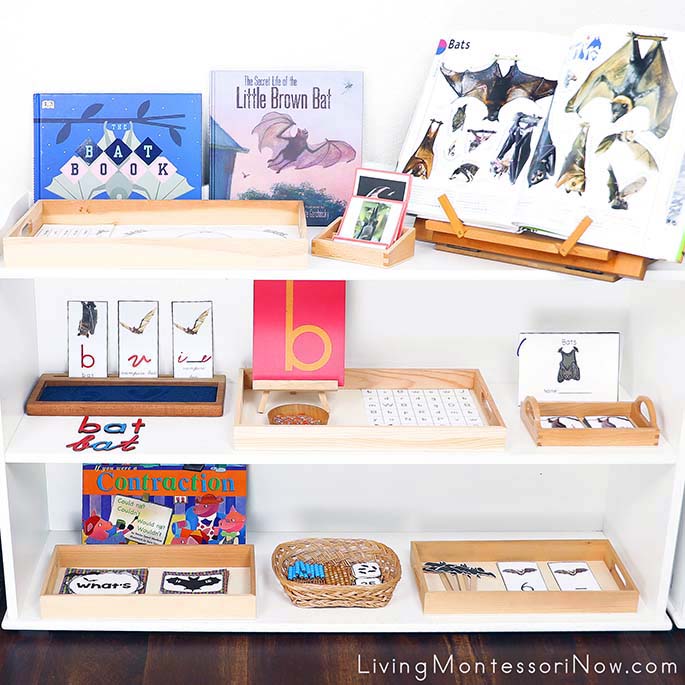 Montessori Shelves with Bat-Themed Activities