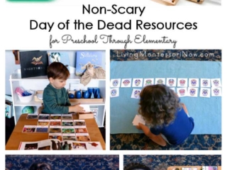 Non-Scary Day of the Dead Resources for Preschool Through Elementary