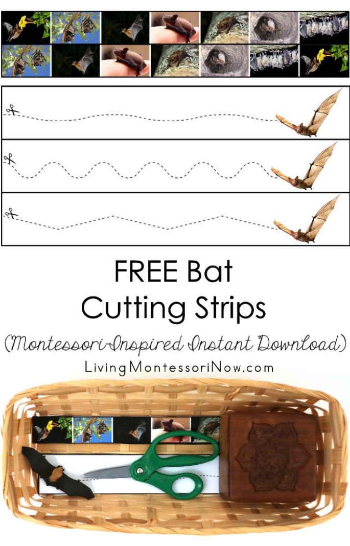 FREE Bat Cutting Strips (Montessori-Inspired Instant Download)