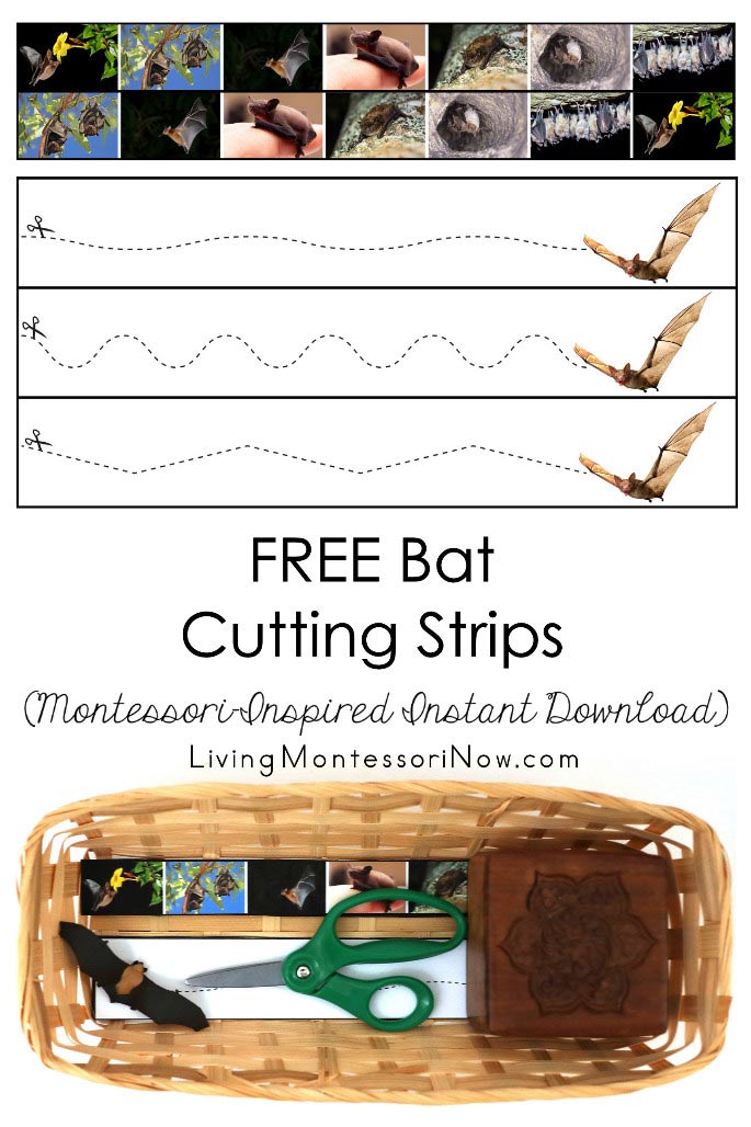 Free Bat Cutting Strips (Montessori-Inspired Instant Download)