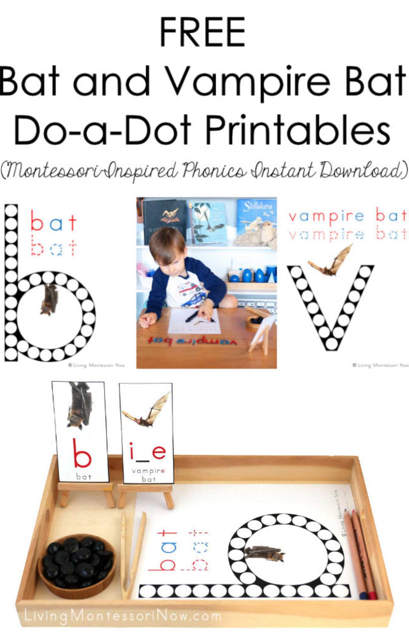 free-zoo-animal-do-a-dot-printable-montessori-inspired-instant