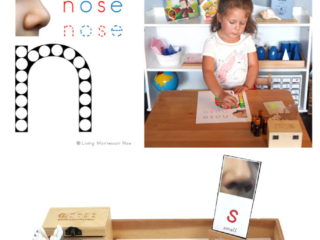 FREE Nose Do-a-Dot Phonics Printable (Montessori-Inspired Instant Download)