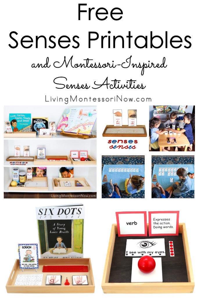 Free Senses Printables and Montessori-Inspired Senses Activities