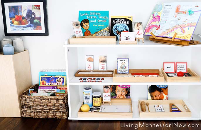 Montessori Book Basket and Shelves with Senses-Themed Activities