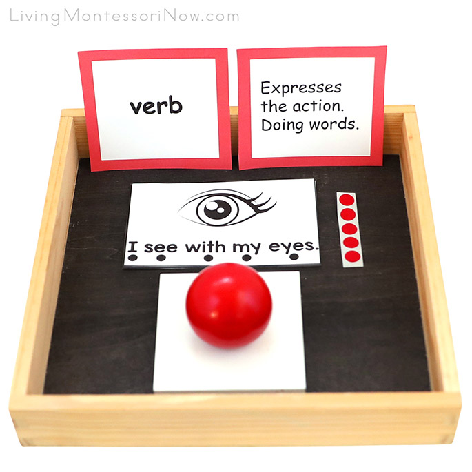 Senses Verb Activity with My Five Senses Booklet and Montessori Grammar Materials