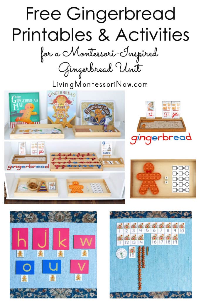 Favorite Shelves, Trays, Baskets, and More for Montessori