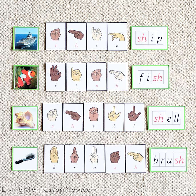 ASL Movable Alphabet Phonogram Word Spelling with Black and Red Letters