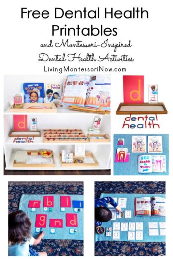 Free Dental Health Printables and Montessori-Inspired Dental health Activities