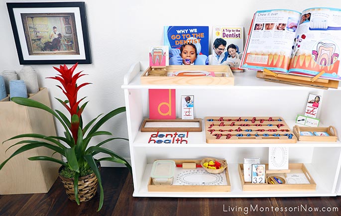 Montessori Shelves with Dental Health Themed Activities and Dentist Art Appreciation