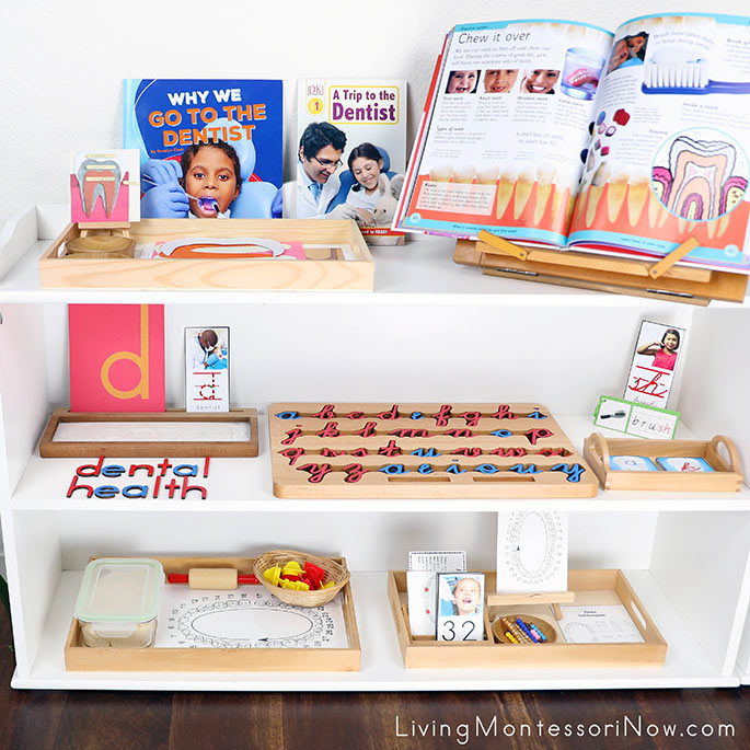 Montessori Shelves with Dental Heath Themed Activities