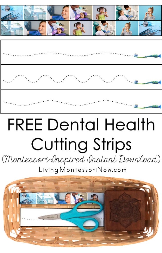 FREE Dental Health Cutting Strips (Montessori-Inspired Instant Download)