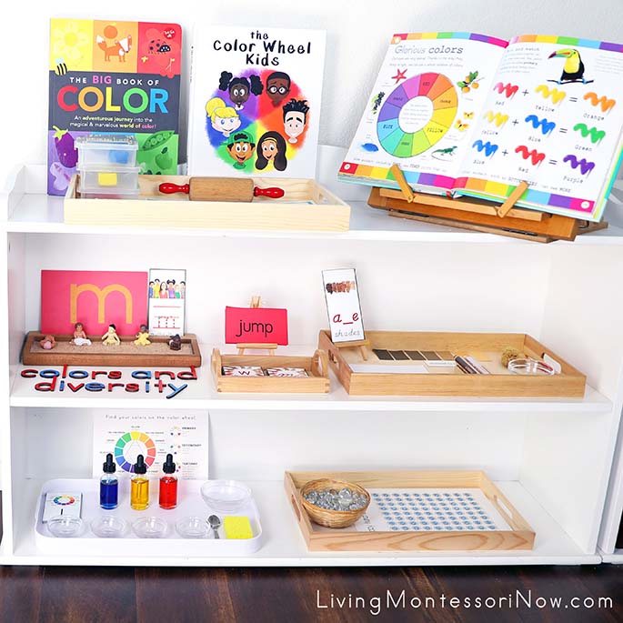 Montessori Shelves with Colors and Diversity Themed Activities