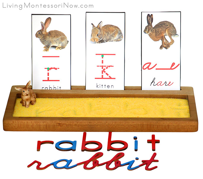 Rabbit-Themed Salt Writing Tray