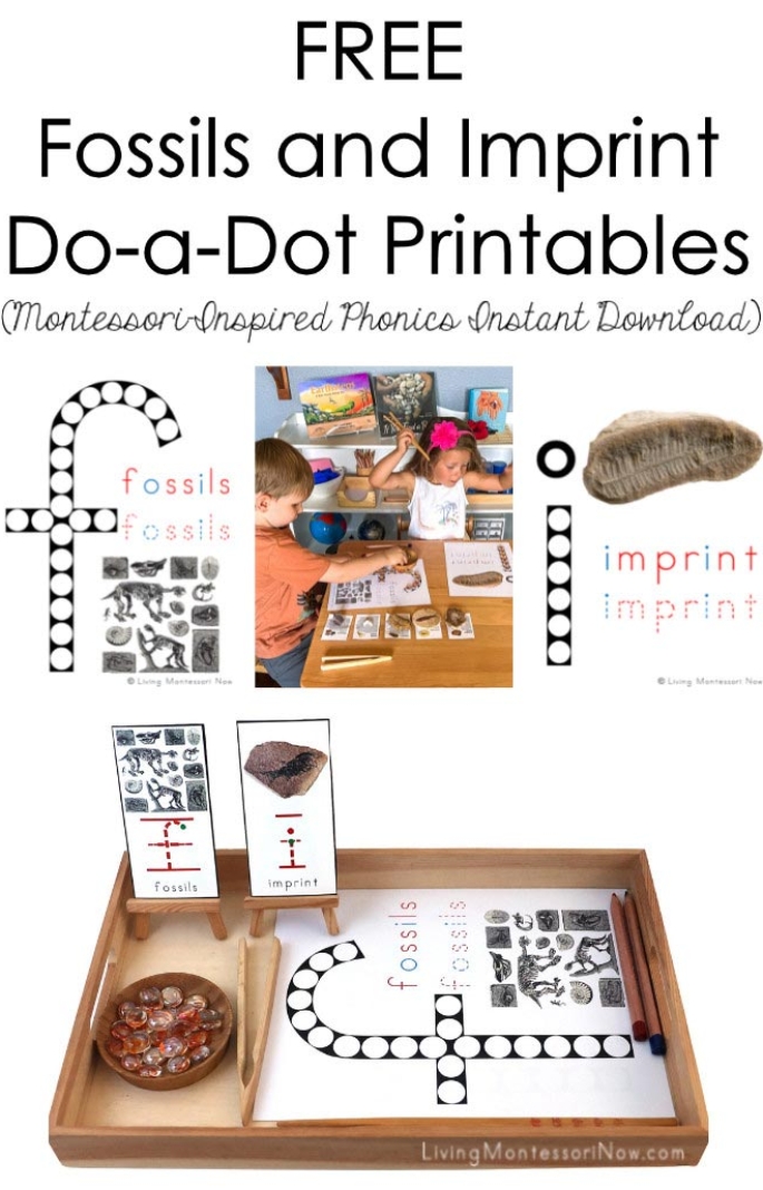 FREE Fossils and Imprint Do-a-Dot Printables (Montessori-Inspired Phonics Instant Download)