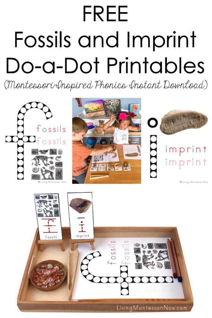 FREE Fossils and Imprint Do-a-Dot Printables (Montessori-Inspired Phonics Instant Download)