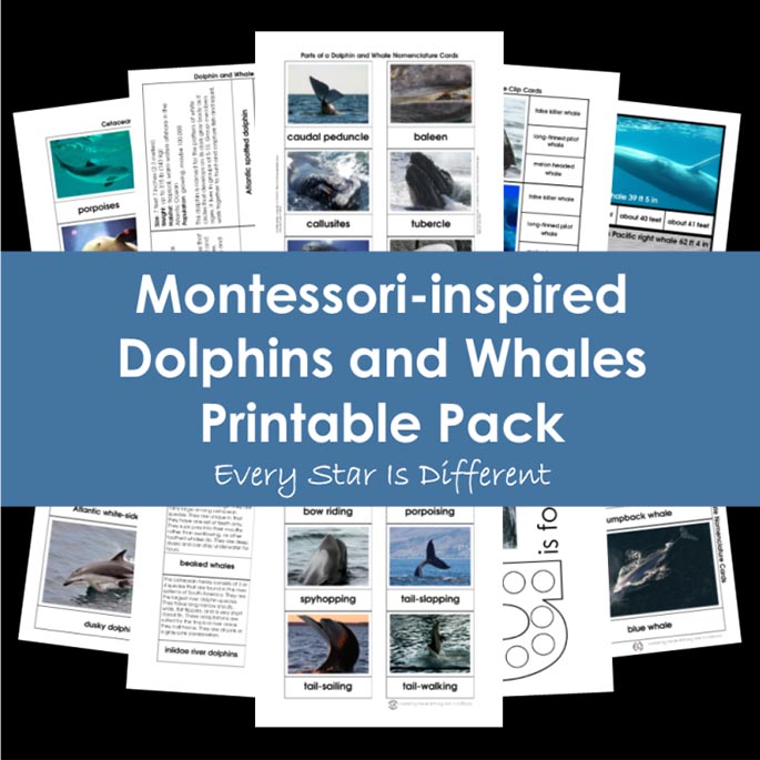 Montessori-Inspired Dolphins and Whales Printable Pack from Every Star Is Different