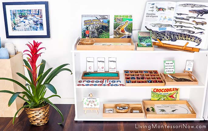 Montessori Shelves with Crocodilian-Themed Activities and John Singer Sargent Art Appreciation