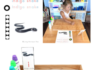 FREE Indigo Snake Do-a-Dot Phonics Printable (Montessori-Inspired Instant Download)