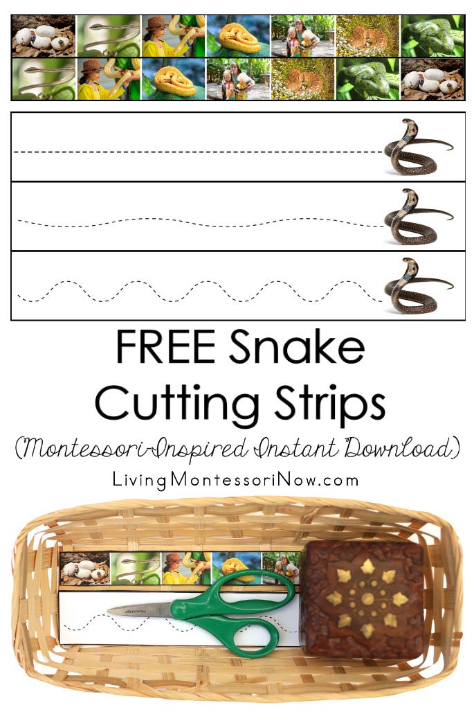 FREE Snake Cutting Strips (Montessori-Inspired Instant Download)